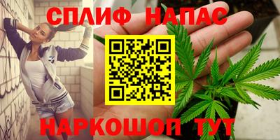 сатива Кулебаки