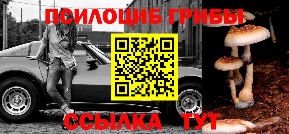 Жигулёвск  Псилоцибиновые грибы GOLDEN TEACHER  где можно купить наркотик  Вход с VPN 